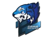 Naklejka | Flash Gaming | Boston 2018 skin