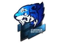 Naklejka | Flash Gaming (foliowana) | Boston 2018 skin