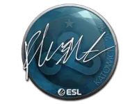 Sticker | flusha | Katowice 2019 skin