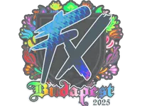 印花 | Fluxo（全息）| 2025年布达佩斯锦标赛 skin