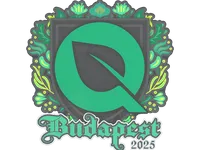 印花 | Flyquest | 2025年布达佩斯锦标赛 skin