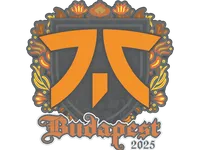 Sticker | fnatic | Budapest 2025 skin