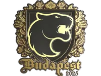 Sticker | FURIA (Gold) | Budapest 2025 skin
