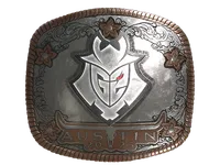 Sticker | G2 Esports (Foil) | Austin 2025