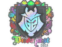 Sticker | G2 esports (Holo) | Budapest 2025 skin