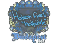 Sticker | hallzerk | Budapest 2025 skin