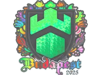 Sticker | Imperial Esports (Holo) | Budapest 2025