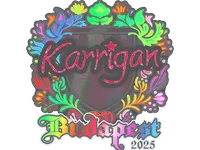 Sticker | karrigan (Holo) | Budapest 2025 skin