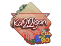 Klistermärke | karrigan | Rio 2022 skin
