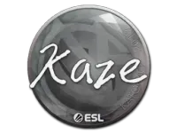 印花 | Kaze | 2019年卡托维兹锦标赛 skin