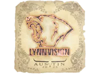 Наклейка | Lynn Vision | Austin 2025 skin