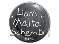 Sticker | malta | Katowice 2019 skin