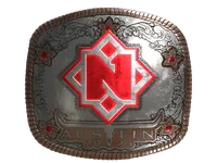 印花 | Nemiga (Foil) | Austin 2025 skin