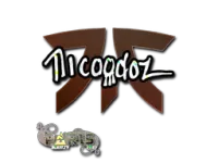 印花 | nicoodoz（闪耀）| 2023年巴黎锦标赛 skin