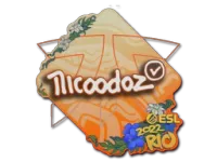印花 | nicoodoz | 2022年里约热内卢锦标赛 skin