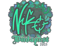 Sticker | NiKo | Budapest 2025
