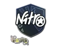 印花 | nitr0 | 2023年巴黎锦标赛 skin