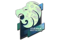 Naklejka | North (hologramowa) | Boston 2018 skin