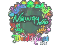 Sticker | noway (Holo) | Budapest 2025 skin