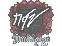Sticker | NQZ | Budapest 2025 skin