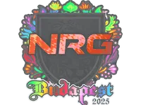 Sticker | NRG (Holo) | Budapest 2025