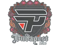 Sticker | paiN Gaming | Budapest 2025 skin