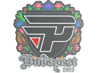 Pegatina | paiN Gaming (bordada) | Budapest 2025 skin