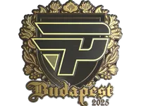 Sticker | paiN Gaming (Gold) | Budapest 2025 skin