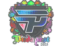 Sticker | paiN Gaming (Holo) | Budapest 2025