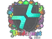 Sticker | PARIVISION (Holo) | Budapest 2025