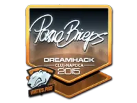 Sticker | pashaBiceps (Foil) | Cluj-Napoca 2015 skin