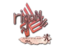 Naklejka | rigoN (holograficzna) | Antwerpia 2022 skin
