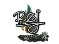 Pegatina | roeJ | Amberes 2022 skin