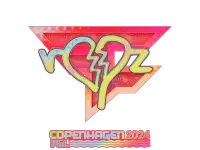 印花 | ropz(全息)| 2024年哥本哈根锦标赛 skin