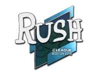 印花 | RUSH | 2018年波士顿锦标赛 skin