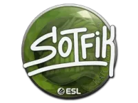Autocolante | S0tF1k | Katowice 2019 skin