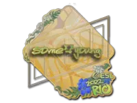 印花 | sdy（全息）| 2022年里约热内卢锦标赛 skin