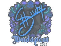 Sticker | siuhy | Budapest 2025 skin