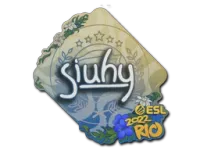 Наклейка | siuhy | Рио-2022 skin