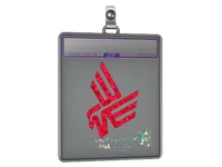 Sticker Slab | Bad News Eagles (Glitter) | Antwerp 2022 skin