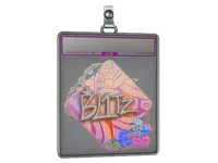 Sticker Slab | bLitz (Holo) | Rio 2022 skin