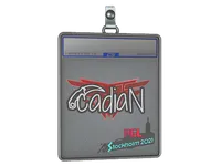 Sticker Slab | cadiaN | Stockholm 2021 skin