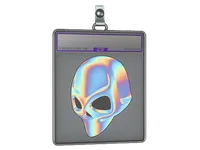 Sticker Slab | Chrome Dome (Holo) skin