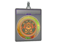 Sticker Slab | ENCE (Holo) | Katowice 2019 skin