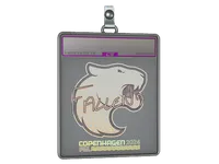 Sticker Slab | FalleN (Holo) | Copenhagen 2024