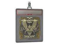 Sticker Slab | FlameZ (Gold, Champion) | Austin 2025 skin