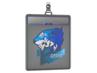 Sticker Slab | Flash Gaming | Boston 2018 skin