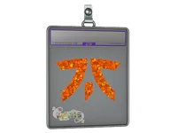 Sticker Slab | Fnatic (Glitter) | Paris 2023 skin