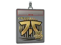 Sticker Slab | Fnatic (Gold) | 2020 RMR