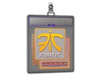 Sticker Slab | Fnatic (Holo) | DreamHack 2014 skin